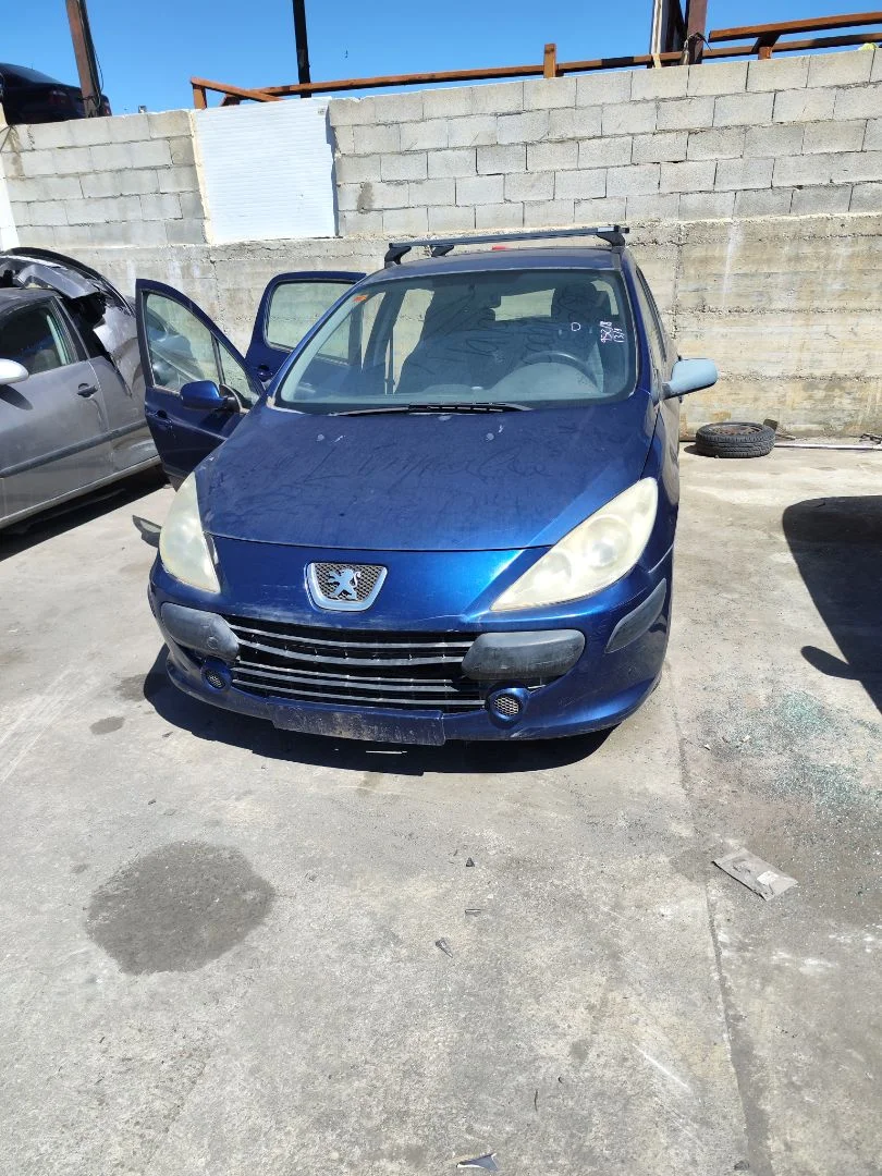 PEUGEOT 307 BERLINA (S2)