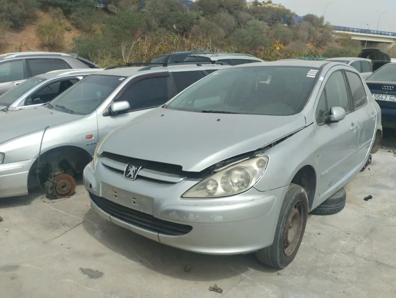 PEUGEOT 307 (S1)(04.2001)