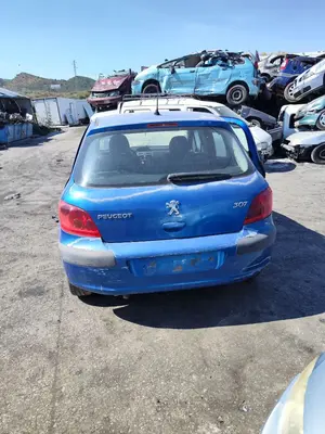 PEUGEOT 307 (S1)(04.2001) foto 7