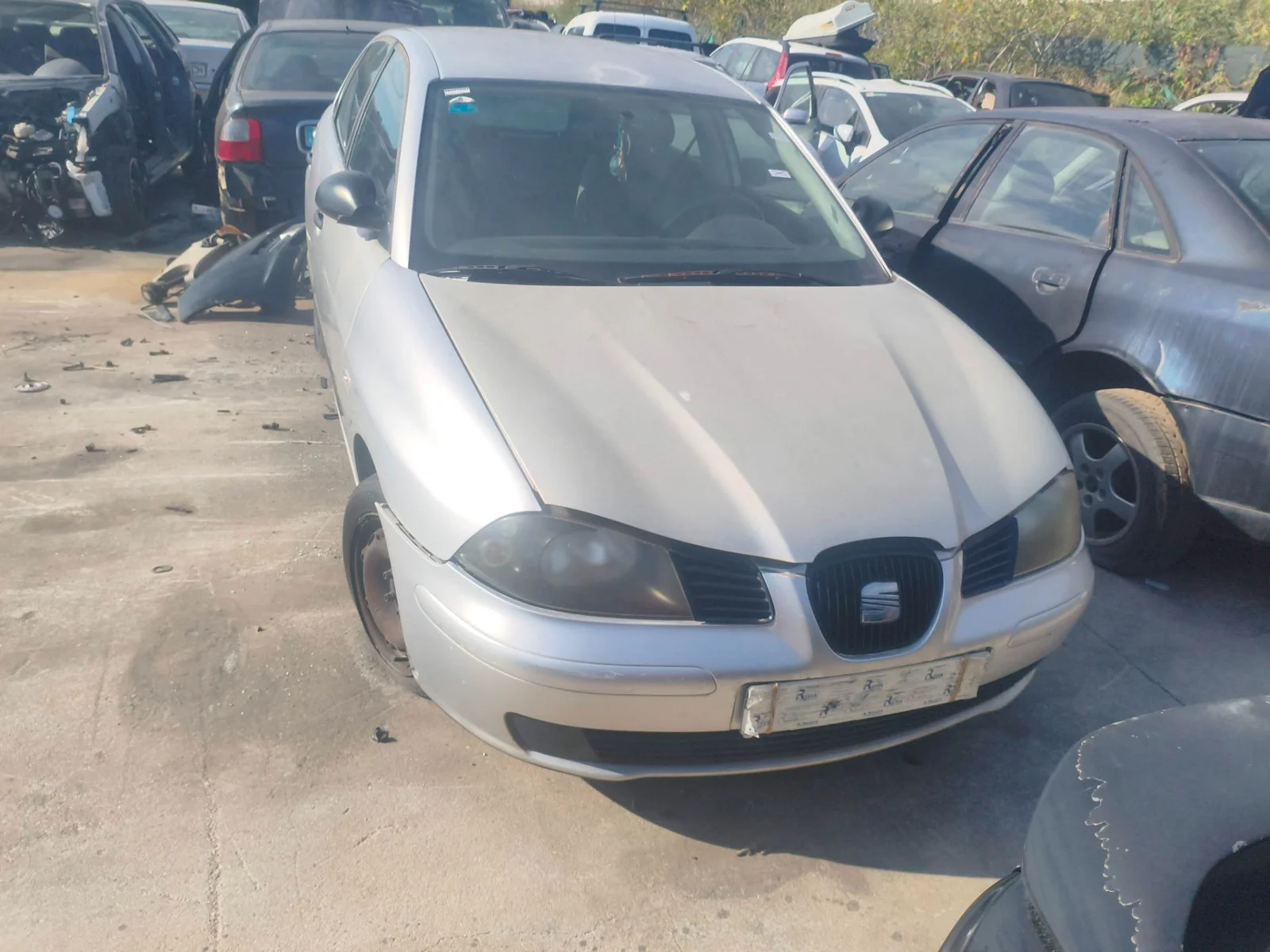 SEAT IBIZA (6L1)
