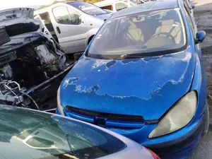 PEUGEOT 307 (S1)(04.2001) foto 1