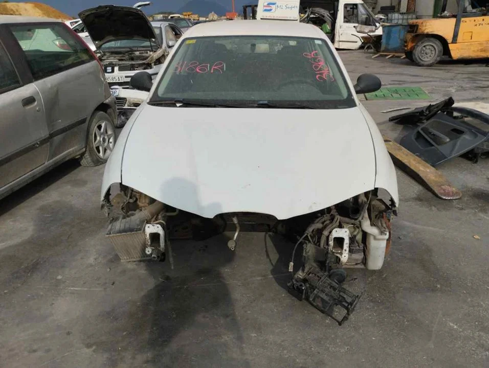 SEAT IBIZA (6L1)