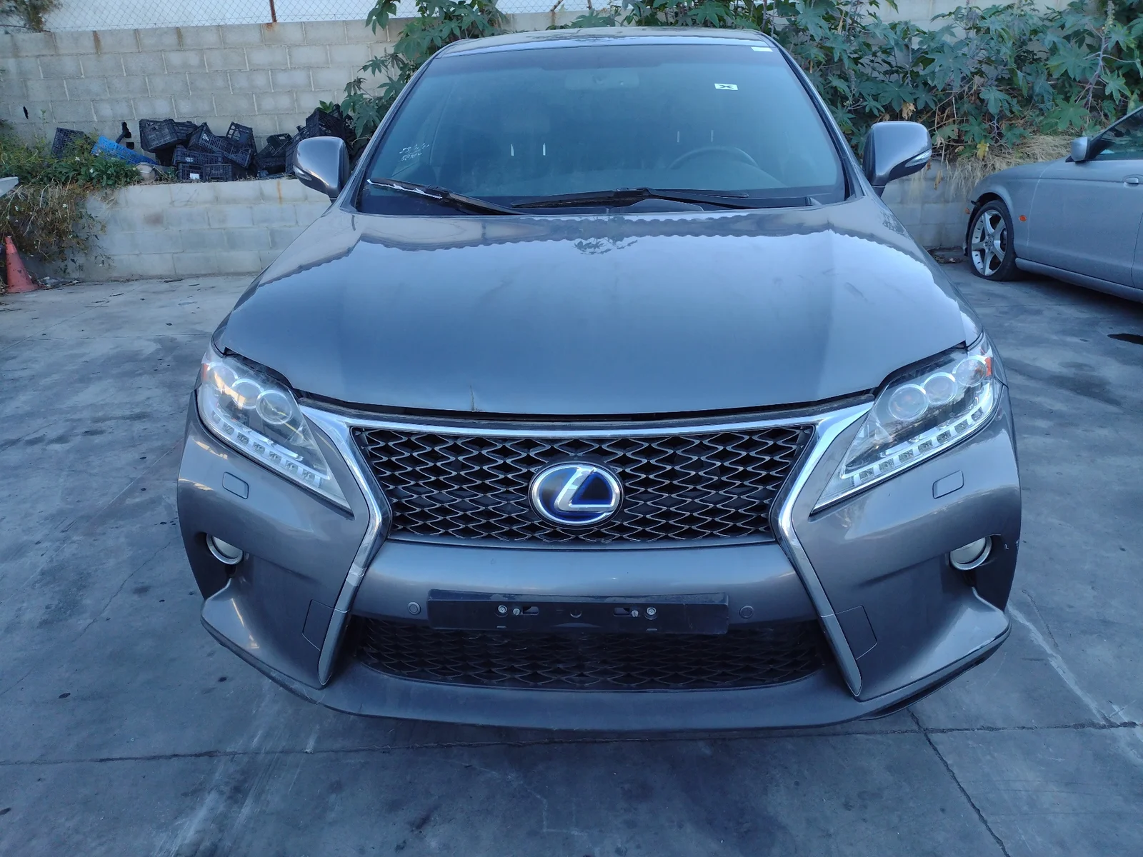 LEXUS RX (GGL1/GYL1)