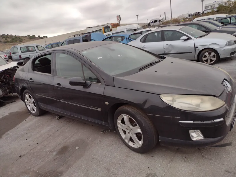 PEUGEOT 407