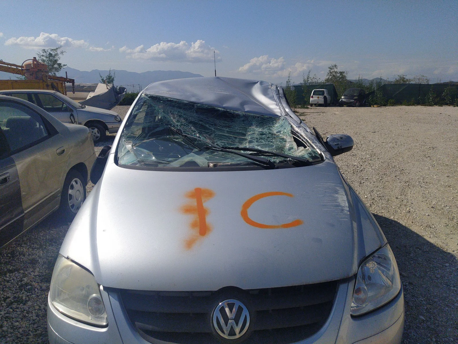 VOLKSWAGEN FOX (5Z1)(04.2005)