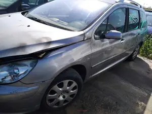 PEUGEOT 307 BREAK / SW (S1)(04.2002) foto 3