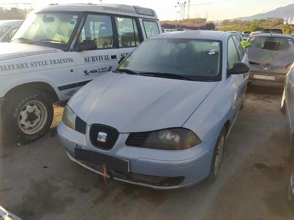SEAT IBIZA (6L1)