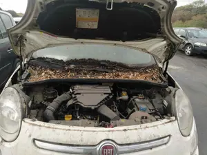 FIAT 500L (330) foto 4