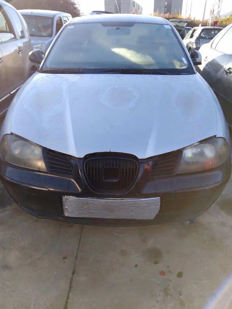 SEAT IBIZA (6L1)
