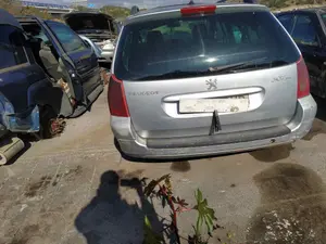 PEUGEOT 307 BREAK / SW (S1)(04.2002) foto 3