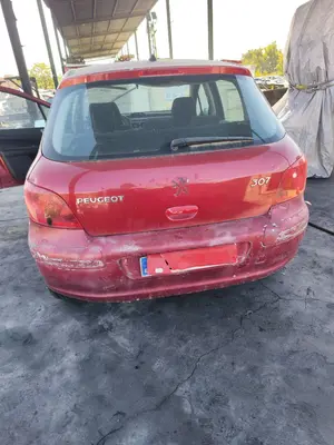 PEUGEOT 307 (S1)(04.2001) foto 2