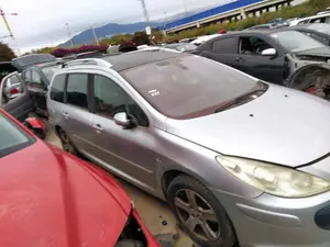 PEUGEOT 307 BREAK/ SW (S2) foto 4