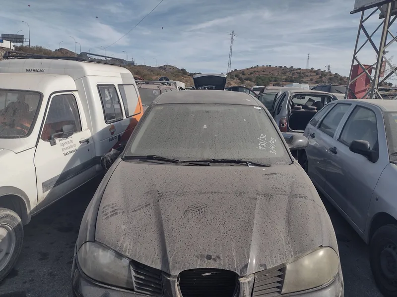 SEAT IBIZA (6L1)
