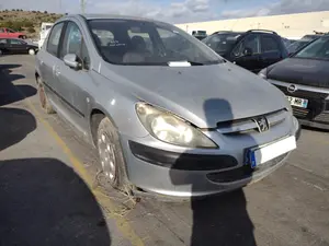 PEUGEOT 307 (S1)(04.2001) foto 2