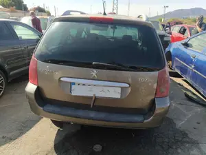 PEUGEOT 307 BREAK / SW (S1)(04.2002) foto 4
