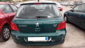 PEUGEOT 307 (S1)(04.2001) foto 7