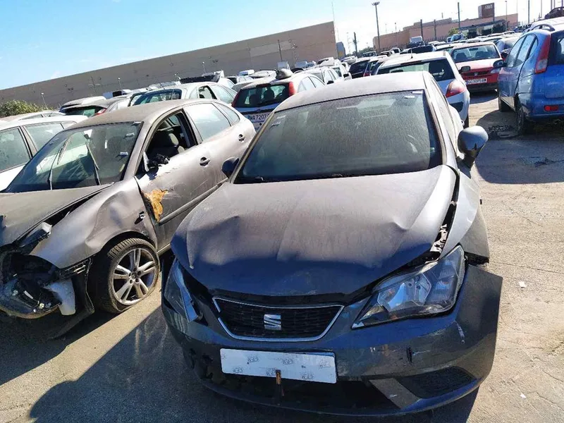 SEAT IBIZA (6P1)