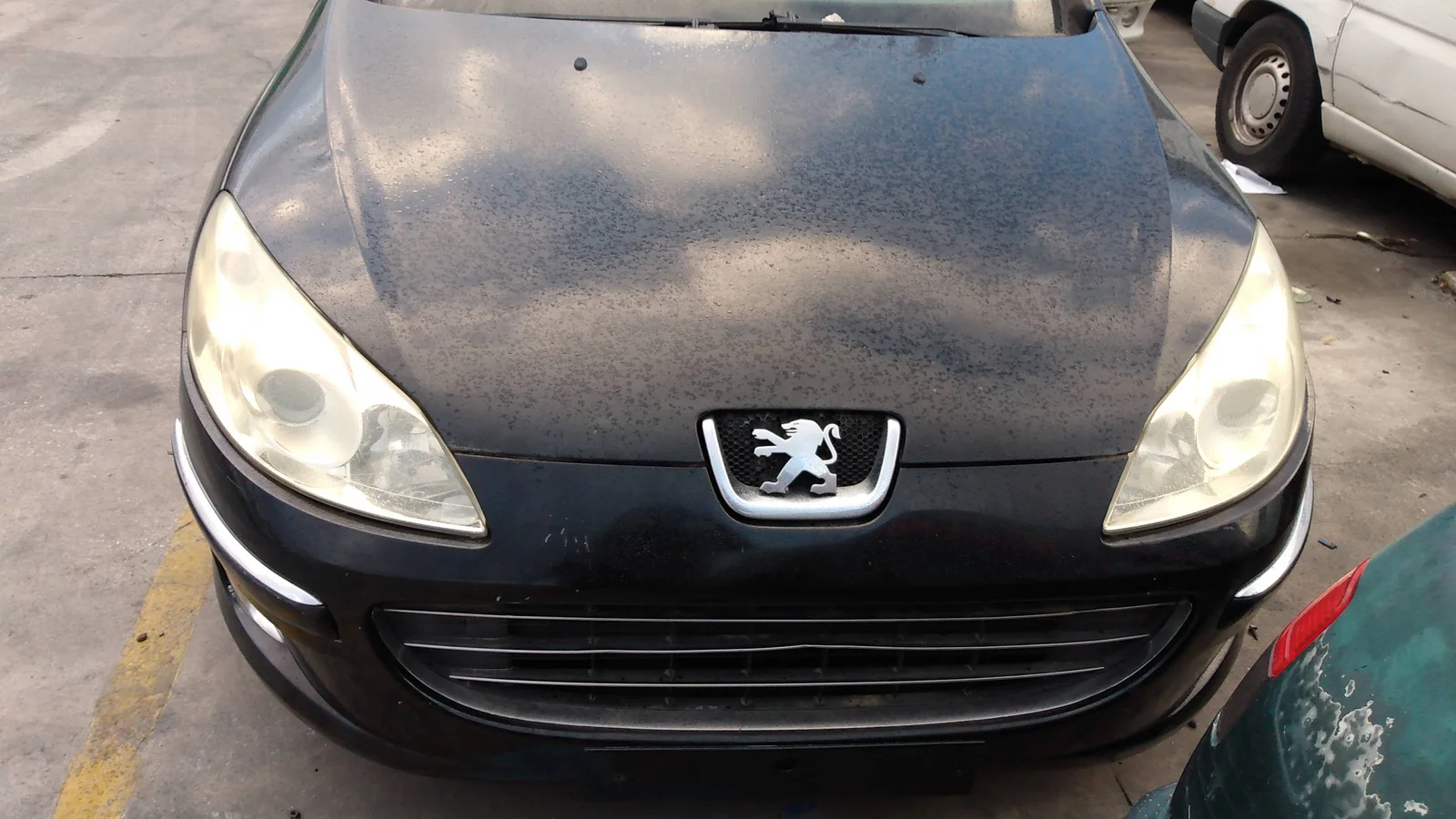 PEUGEOT 407
