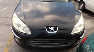 PEUGEOT 407 foto 1