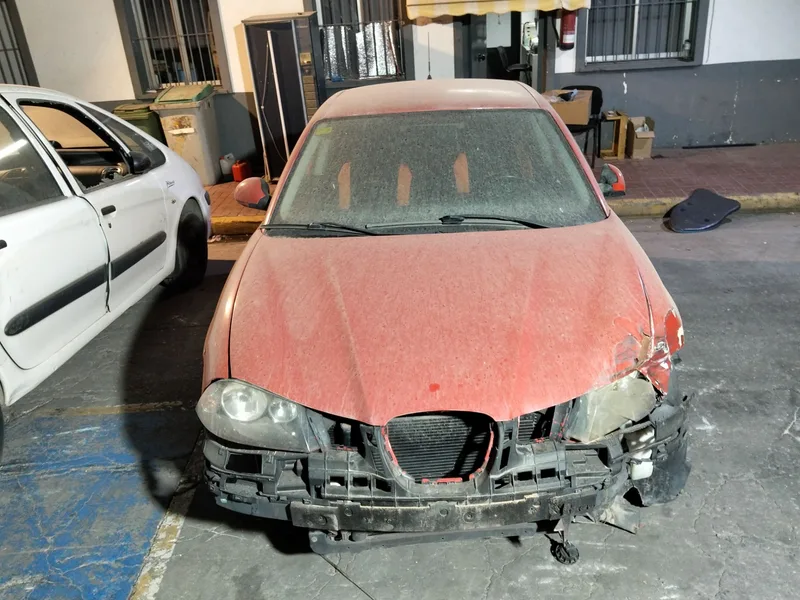 SEAT IBIZA (6L1)