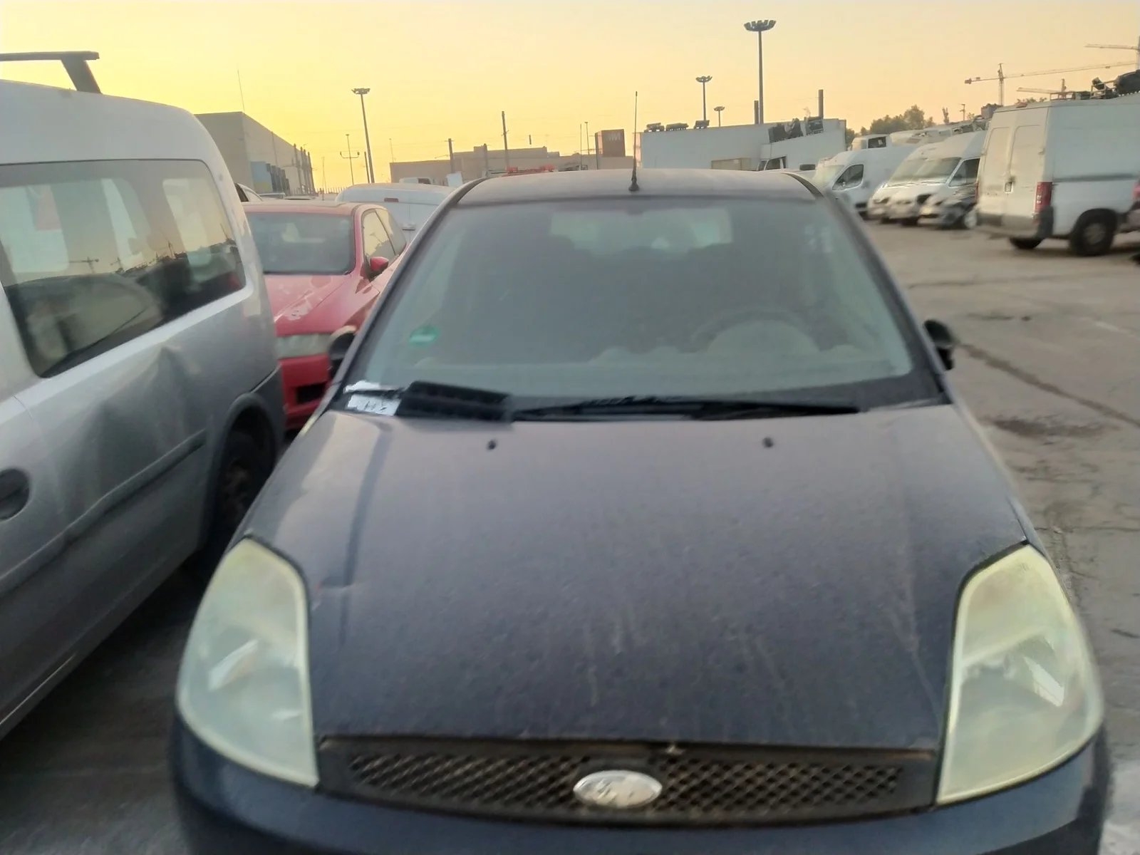 FORD FIESTA (CBK)