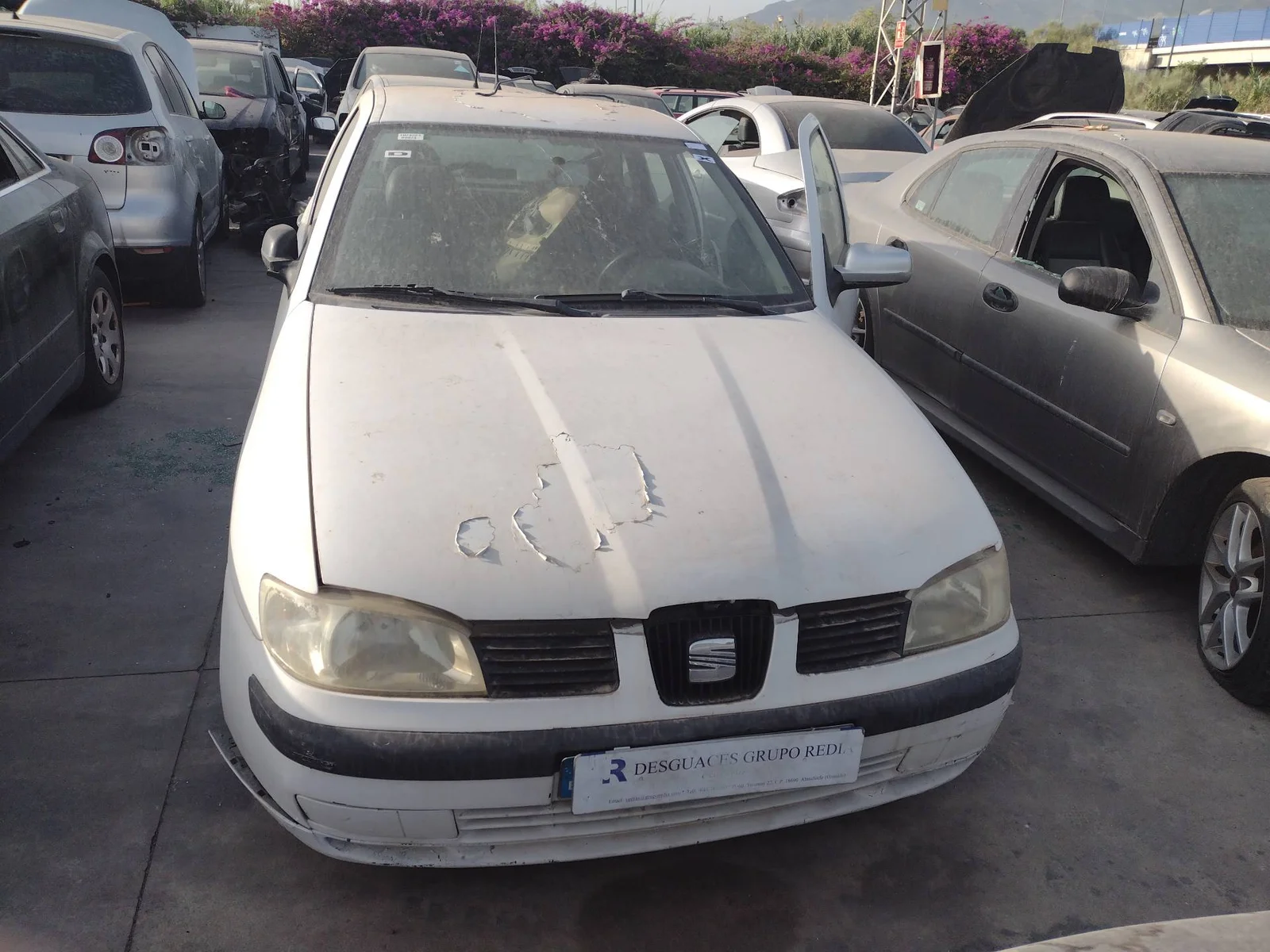 SEAT IBIZA (6K1)