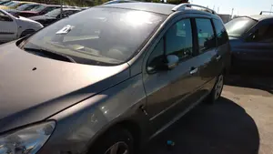 PEUGEOT 307 (S1)(04.2001) foto 29