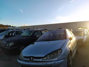PEUGEOT 206 foto 1