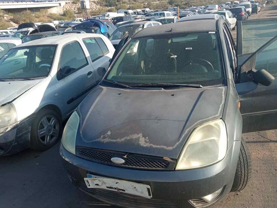 FORD FIESTA (CBK)