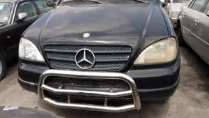 MERCEDES-BENZ CLASE ML (BM 163) foto 1