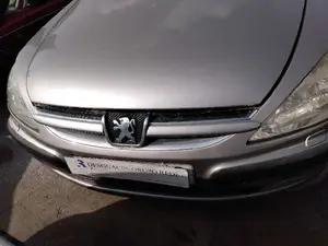 PEUGEOT 607 (S1)(12.2000) foto 1