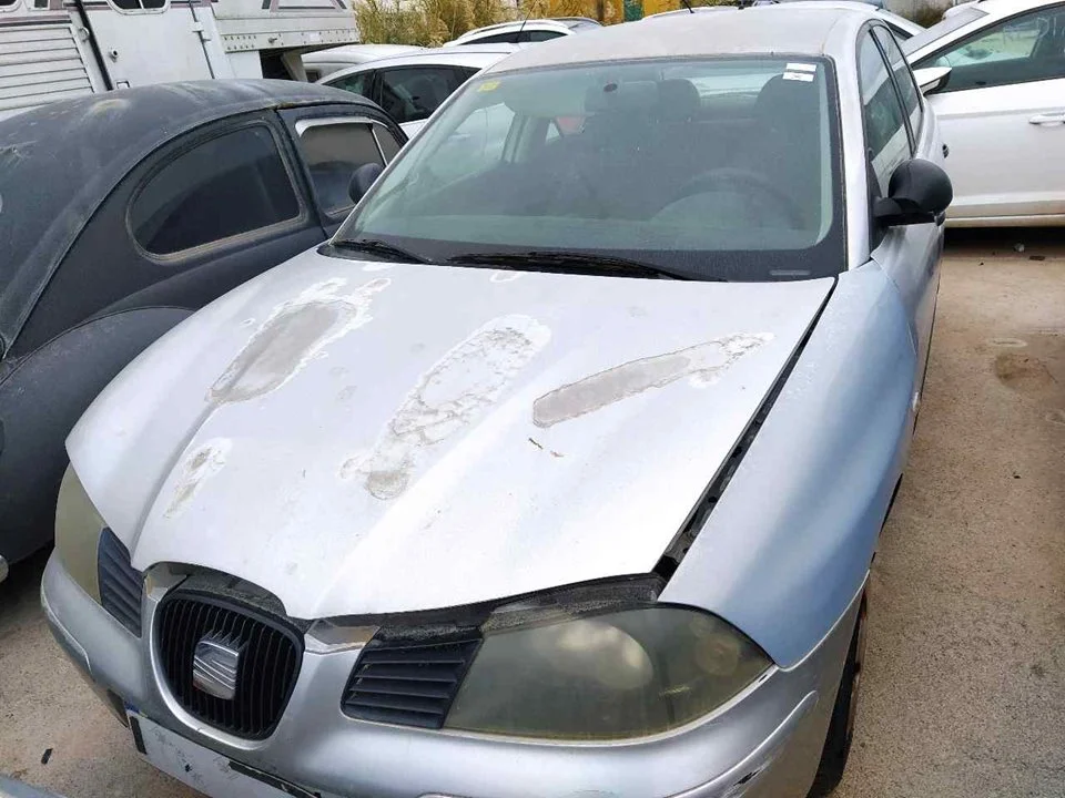 SEAT IBIZA (6L1)