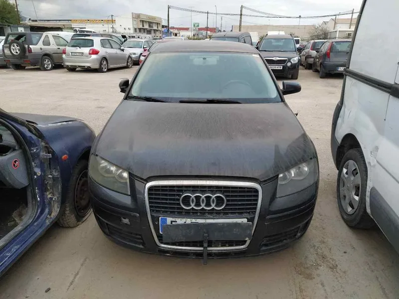 AUDI A3 (8P1)