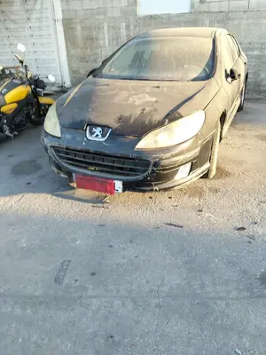PEUGEOT 407 foto 1