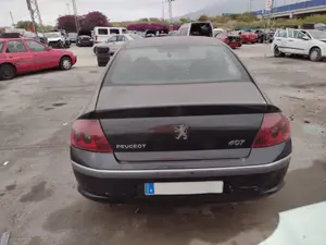 PEUGEOT 407 foto 2
