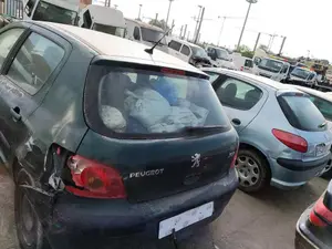PEUGEOT 307 (S1)(04.2001) foto 5