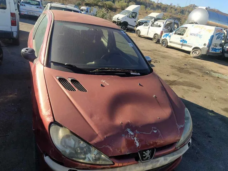 PEUGEOT 206