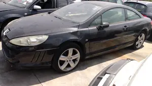 PEUGEOT 407 COUPÉ foto 10