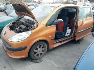 PEUGEOT 1007 foto 5