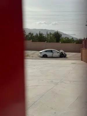 TESLA MODEL 3 foto 2