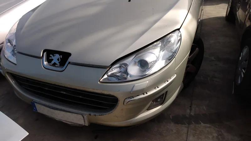 PEUGEOT 407