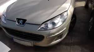PEUGEOT 407 foto 1
