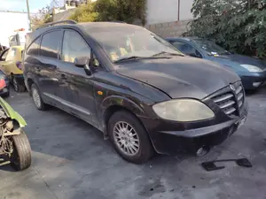 SSANGYONG RODIUS foto 3