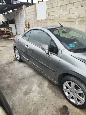PEUGEOT 207 CC CABRIO-COUPÉ foto 11