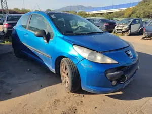 PEUGEOT 207 foto 2