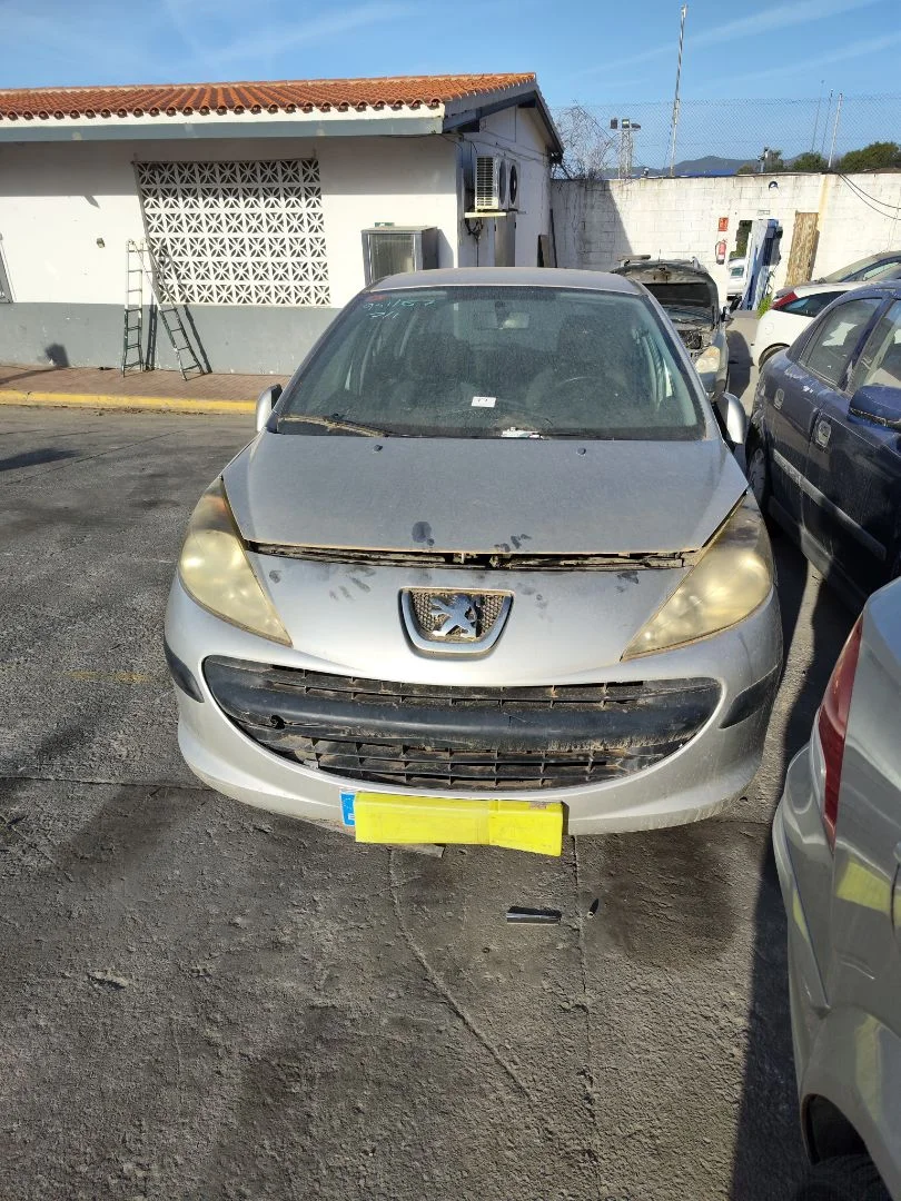 PEUGEOT 207