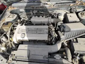 KIA SHUMA foto 7