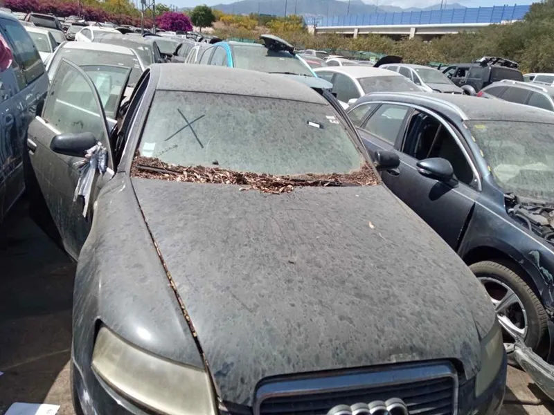 AUDI A6 BERLINA (4F2)