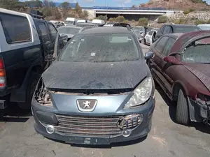 PEUGEOT 307 BREAK/ SW (S2) foto 1