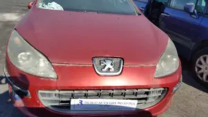 PEUGEOT 407 foto 1